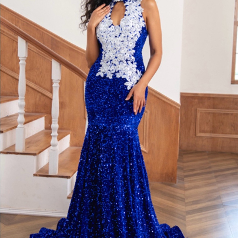 Royal Blue Sequin Mermaid Maxi Dress with White Appliqué